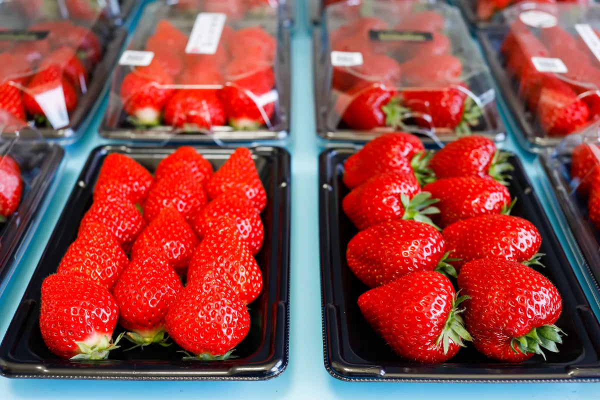 苺食べ比べセット【４パック】ご家庭用 ８～12粒/1パック – フルーツ