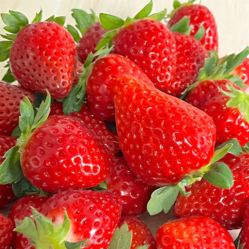 1)直売所開店日のお知らせ と 2)移転のお知らせ