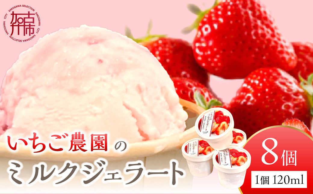 はたやのいちごミルクジェラート　8個セット