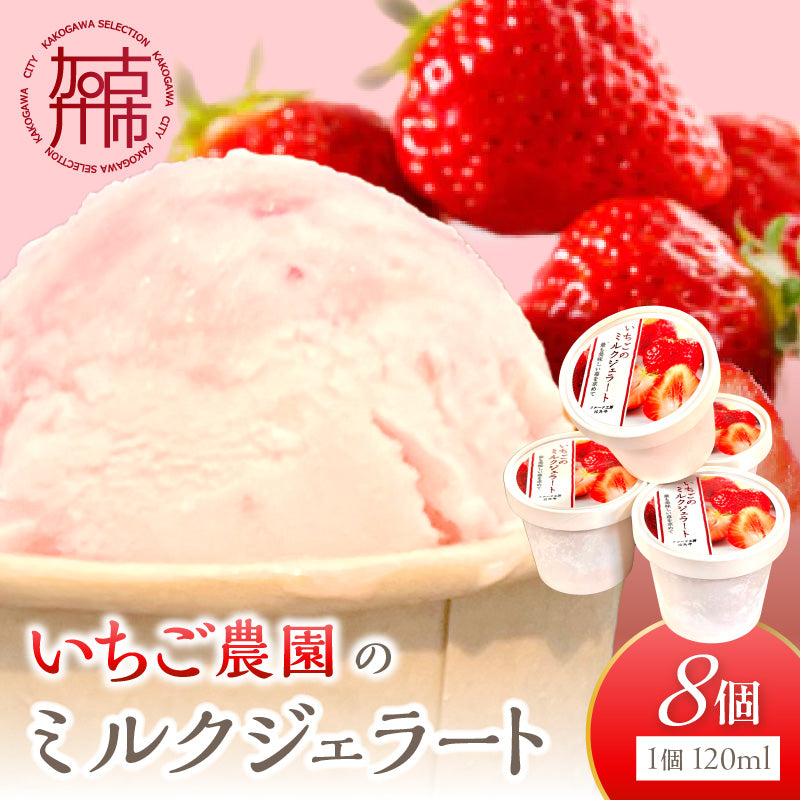 はたやのいちごミルクジェラート　8個セット